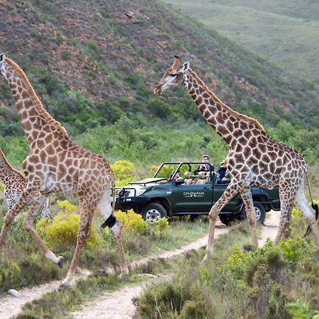 Gondwana Game Reserve Kleinberg 외부 사진