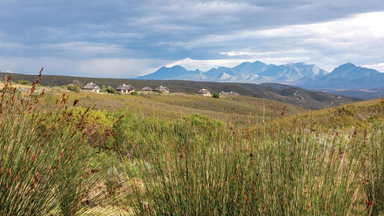Gondwana Game Reserve Kleinberg 외부 사진