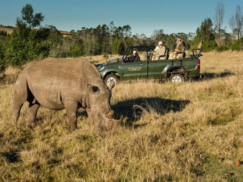 Gondwana Game Reserve Kleinberg 외부 사진