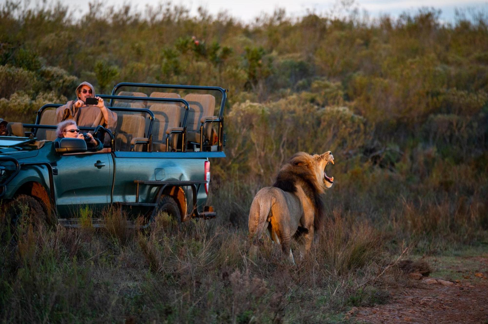 Gondwana Game Reserve Kleinberg 외부 사진