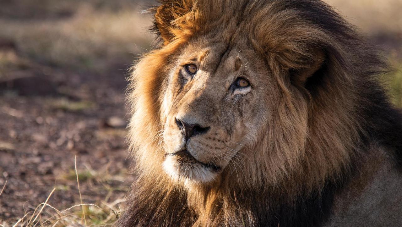 Gondwana Game Reserve Kleinberg 외부 사진