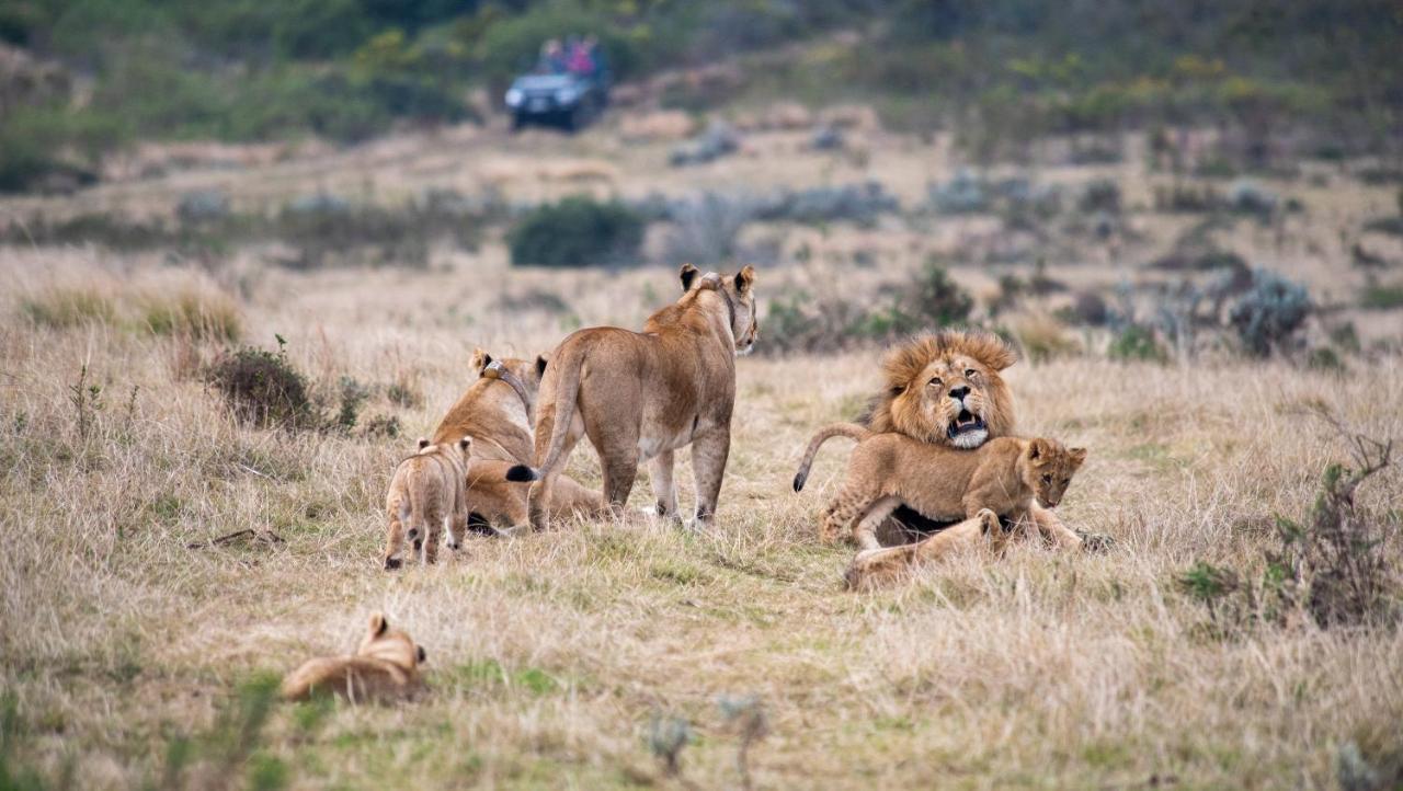 Gondwana Game Reserve Kleinberg 외부 사진